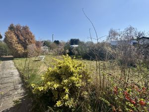 Front Garden- click for photo gallery